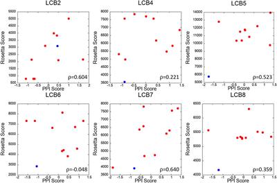 Quantitative comparison of protein-protein interaction interface using physicochemical feature-based descriptors of surface patches